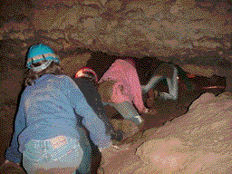cave3.gif