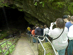 enter.gif