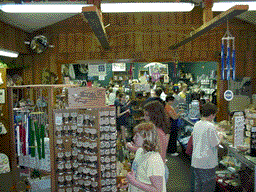 store1.gif